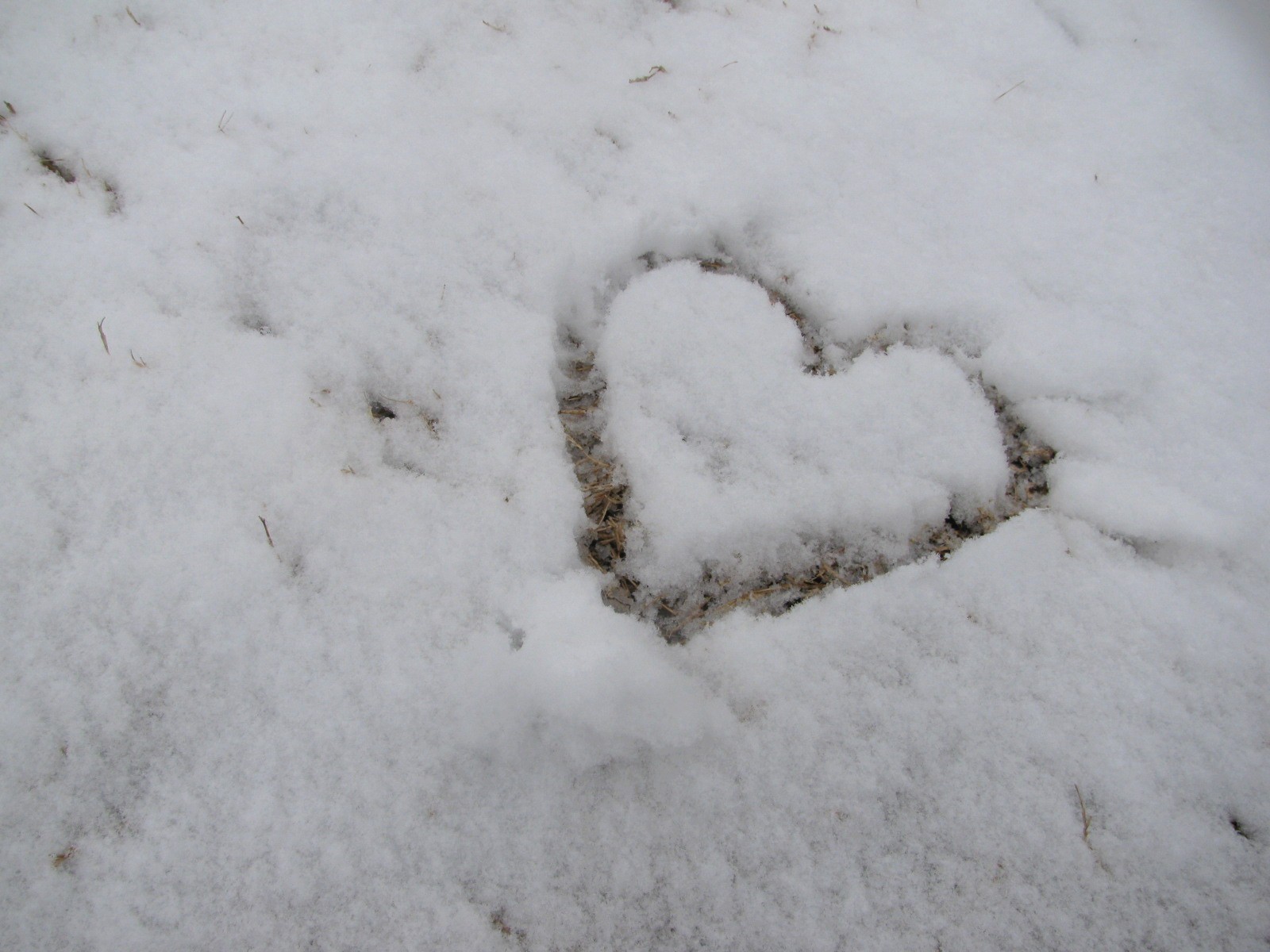 a heart in the snow