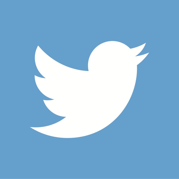 the twitter logo bird